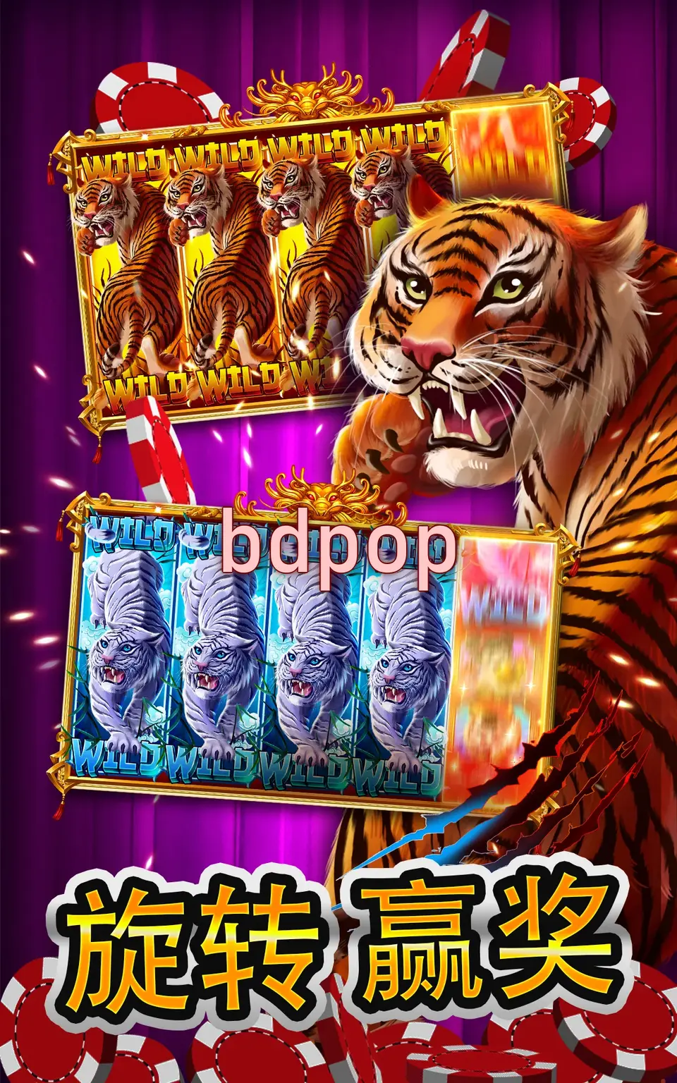 bdpop লগইন